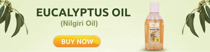 Eucalyptus Oil 880X220