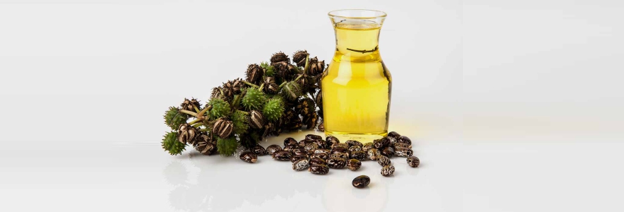 Top 6 Reasons for Using Castor Oil for Healthy Hair