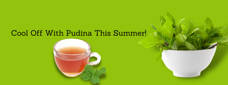 Cool off with Pudina this summer!