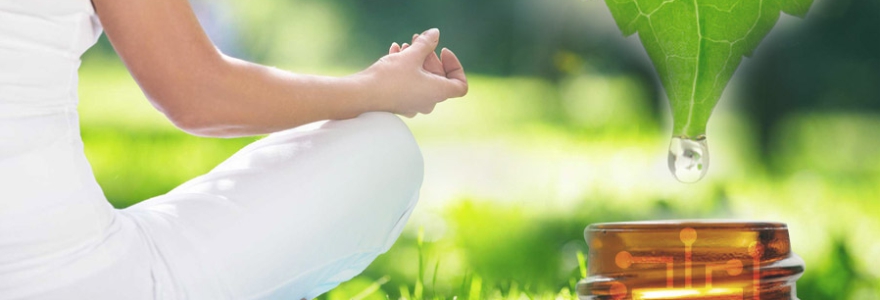 How are Ayurveda and Yoga intertwined in this modern world (880 X 300)