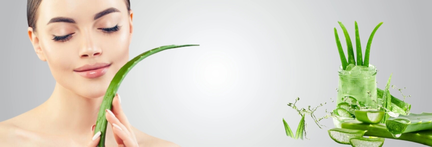 Benefits of Aloe Vera The Multi-tasking Hero of Our Life